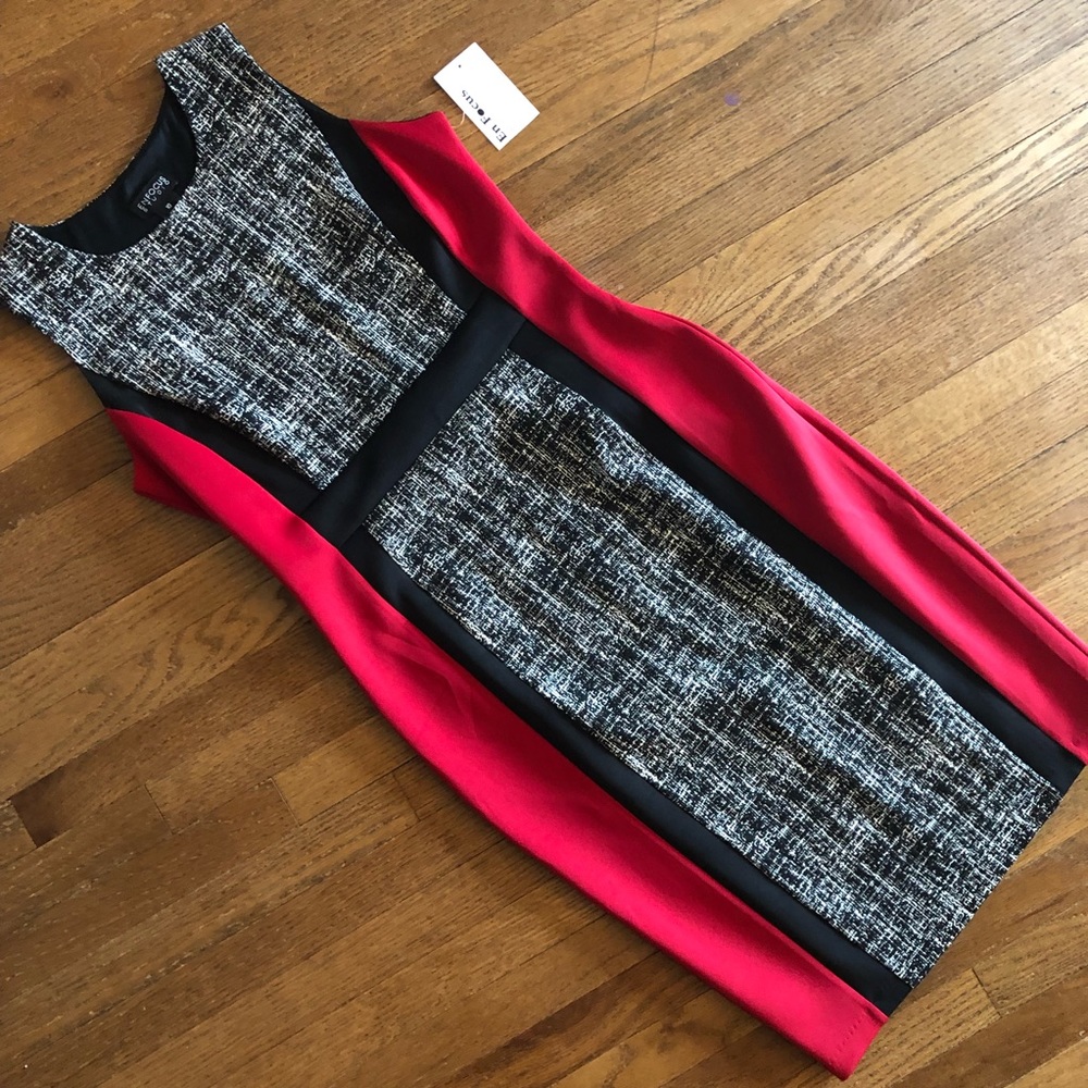 EnFocus Studio Woman’s Work/Fun Dress Size 10